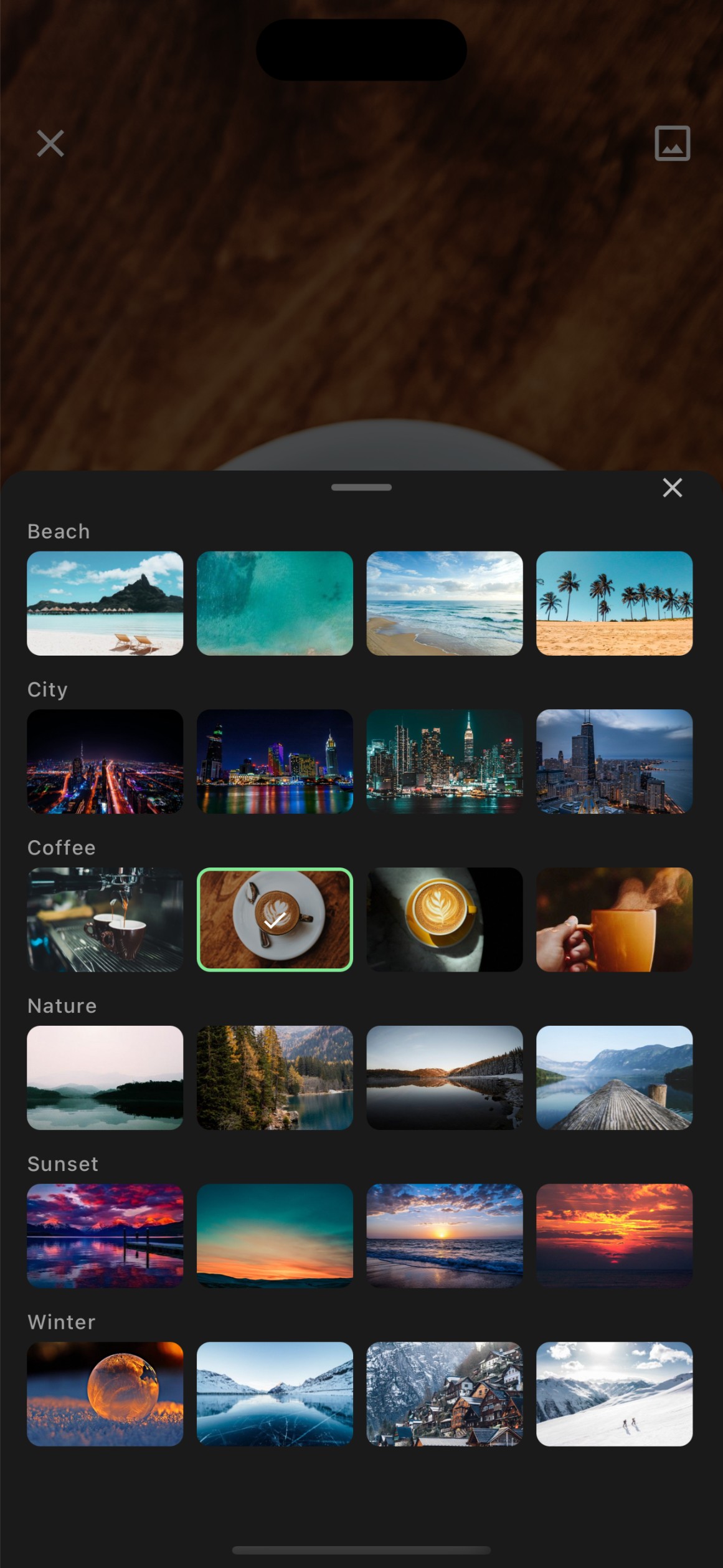 FocusBox Backgrounds