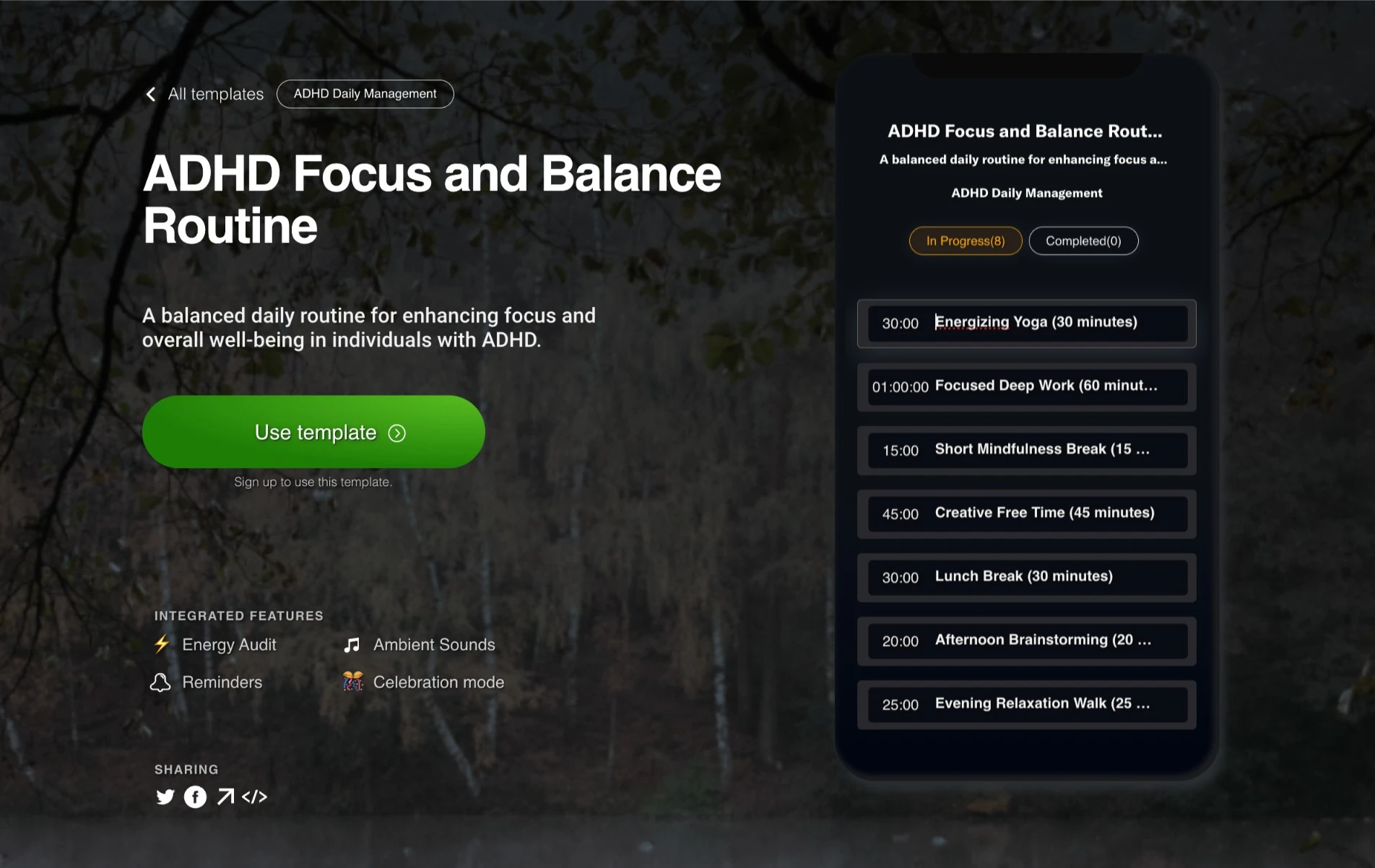 ADHD Focus and Balance Routine